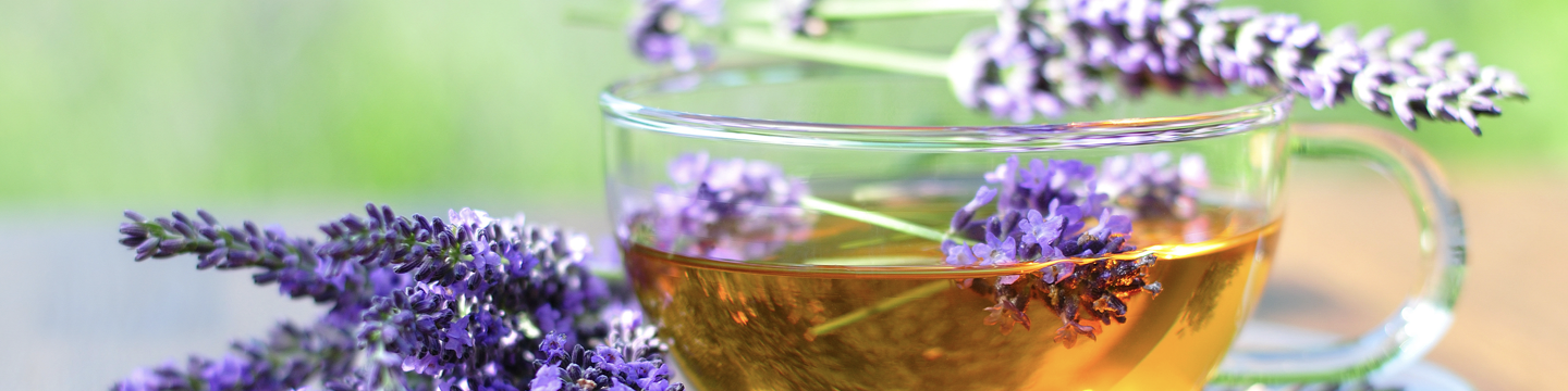 Teacup with herbs